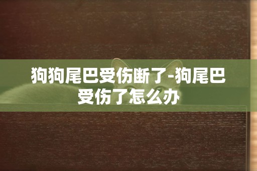 狗狗尾巴受傷斷了-狗尾巴受傷了怎么辦