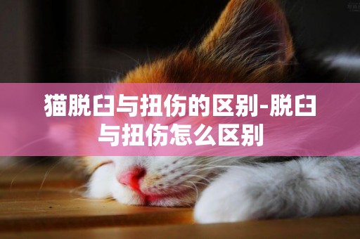 貓脫臼與扭傷的區別-脫臼與扭傷怎么區別