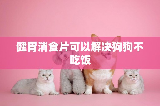健胃消食片可以解決狗狗不吃飯