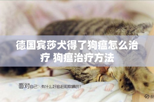 德國賓莎犬得了狗瘟怎么治療 狗瘟治療方法