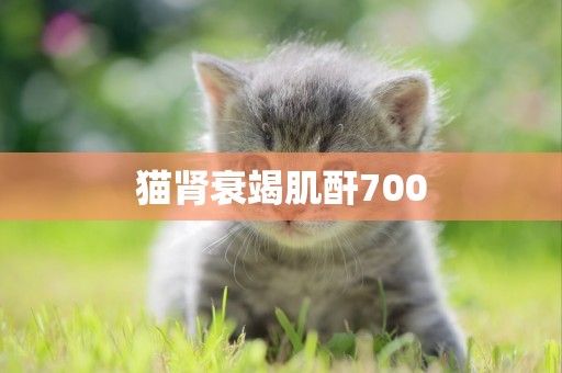 貓腎衰竭肌酐700