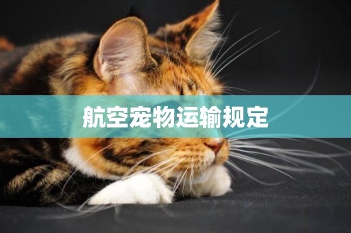 航空寵物運輸規定