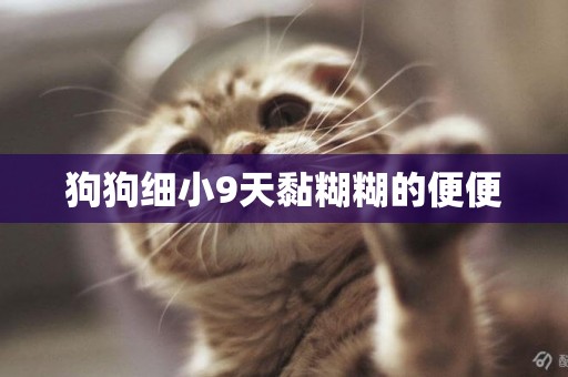 狗狗細小9天黏糊糊的便便