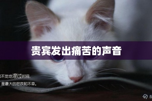 貴賓發出痛苦的聲音