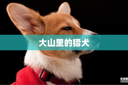 大山里的獵犬