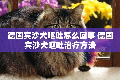 德國賓沙犬嘔吐怎么回事 德國賓沙犬嘔吐治療方法
