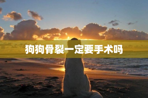 狗狗骨裂一定要手術嗎