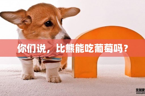 你們說，比熊能吃葡萄嗎？