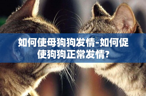 如何使母狗狗發情-如何促使狗狗正常發情?