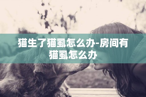 貓生了貓虱怎么辦-房間有貓虱怎么辦