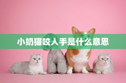 小奶貓咬人手是什么意思
