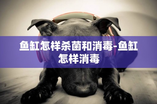 魚缸怎樣殺菌和消毒-魚缸怎樣消毒
