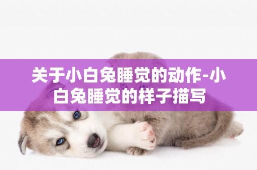 關于小白兔睡覺的動作-小白兔睡覺的樣子描寫