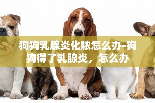 狗狗乳腺炎化膿怎么辦-狗狗得了乳腺炎，怎么辦