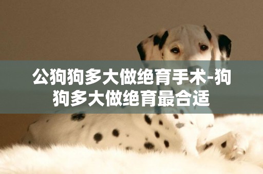 公狗狗多大做絕育手術-狗狗多大做絕育最合適
