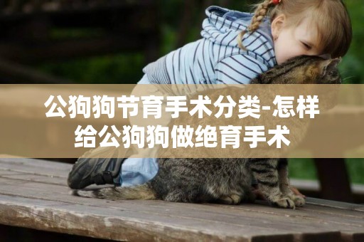 公狗狗節育手術分類-怎樣給公狗狗做絕育手術