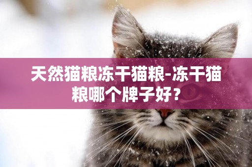 天然貓糧凍干貓糧-凍干貓糧哪個牌子好？