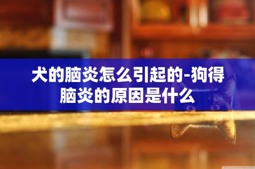 犬的腦炎怎么引起的-狗得腦炎的原因是什么