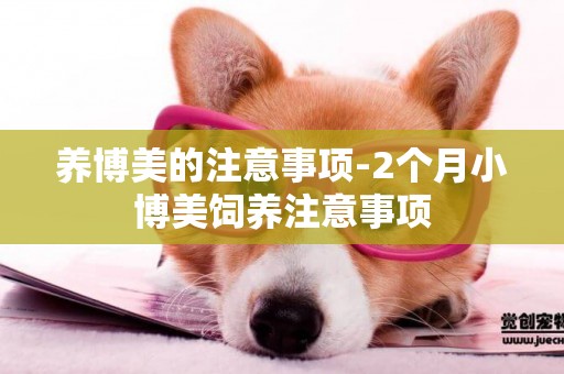 養博美的注意事項-2個月小博美飼養注意事項
