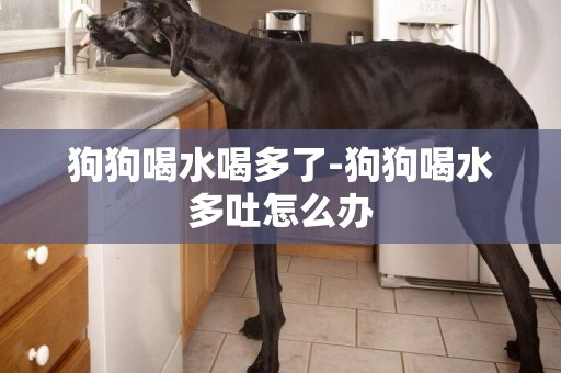 狗狗喝水喝多了-狗狗喝水多吐怎么辦
