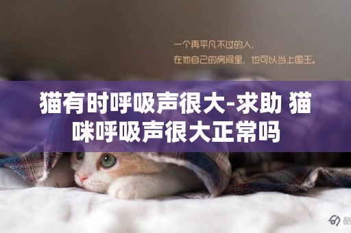 貓有時呼吸聲很大-求助 貓咪呼吸聲很大正常嗎