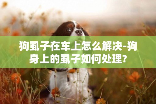 狗虱子在車上怎么解決-狗身上的虱子如何處理?