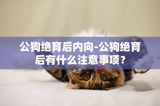 公狗絕育后內向-公狗絕育后有什么注意事項？