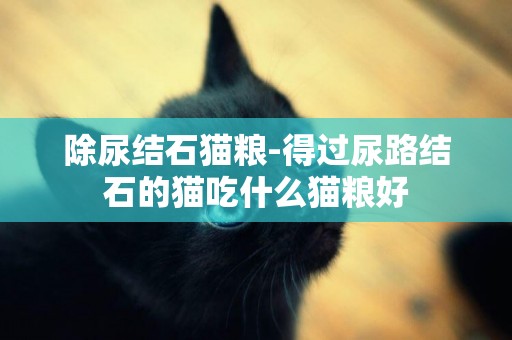 除尿結石貓糧-得過尿路結石的貓吃什么貓糧好