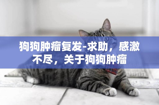 狗狗腫瘤復發-求助，感激不盡，關于狗狗腫瘤