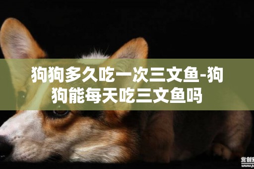 狗狗多久吃一次三文魚-狗狗能每天吃三文魚嗎