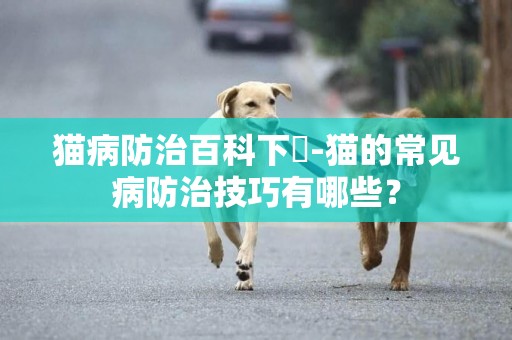 貓病防治百科下載-貓的常見病防治技巧有哪些？