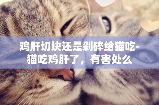 雞肝切塊還是剁碎給貓吃-貓吃雞肝了，有害處么