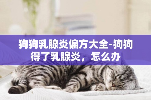 狗狗乳腺炎偏方大全-狗狗得了乳腺炎，怎么辦