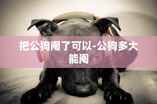 把公狗閹了可以-公狗多大能閹