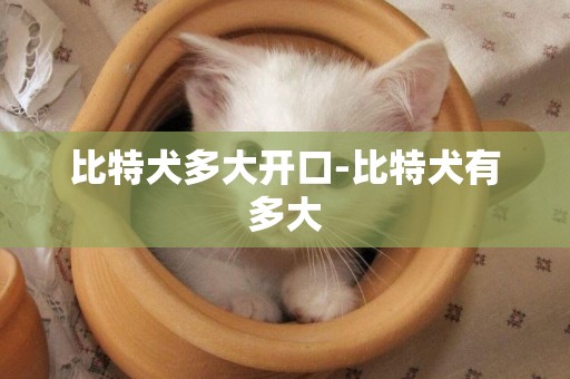 比特犬多大開口-比特犬有多大