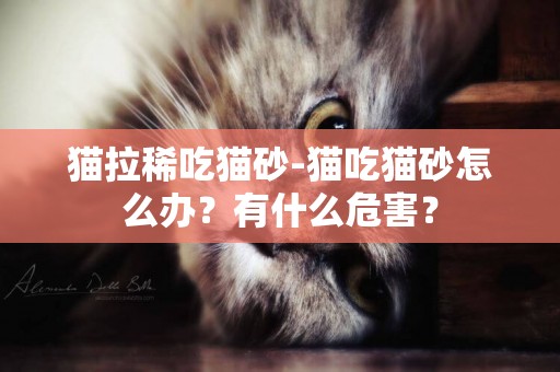 貓拉稀吃貓砂-貓吃貓砂怎么辦？有什么危害？