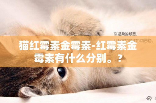 貓紅霉素金霉素-紅霉素金霉素有什么分別。？