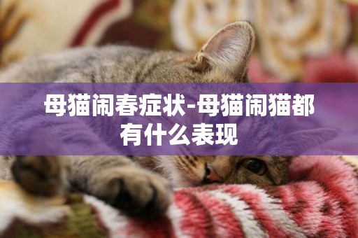 母貓鬧春癥狀-母貓鬧貓都有什么表現