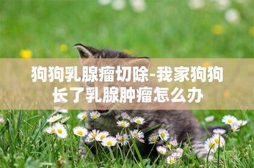 狗狗乳腺瘤切除-我家狗狗長了乳腺腫瘤怎么辦