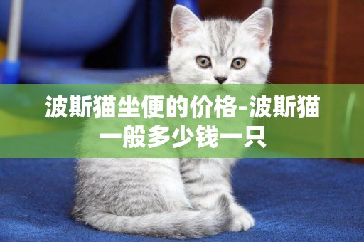 波斯貓坐便的價格-波斯貓一般多少錢一只