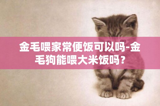 金毛喂家常便飯可以嗎-金毛狗能喂大米飯嗎？