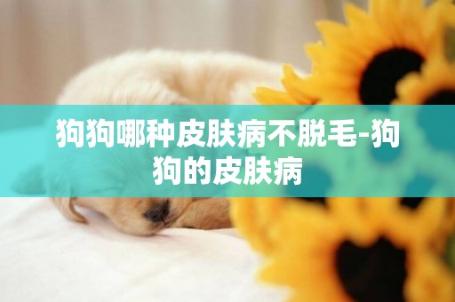 狗狗哪種皮膚病不脫毛-狗狗的皮膚病