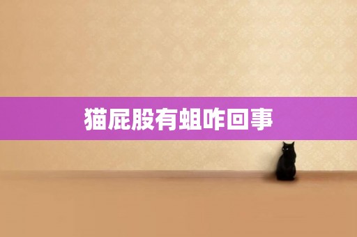 貓屁股有蛆咋回事