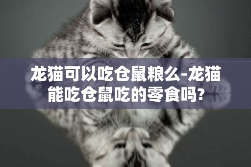 龍貓可以吃倉鼠糧么-龍貓能吃倉鼠吃的零食嗎?