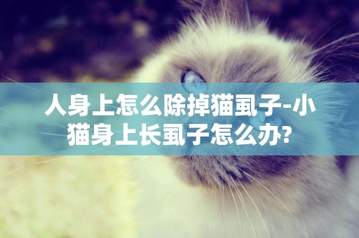人身上怎么除掉貓虱子-小貓身上長虱子怎么辦?
