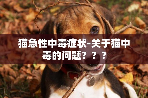 貓急性中毒癥狀-關于貓中毒的問題？？？