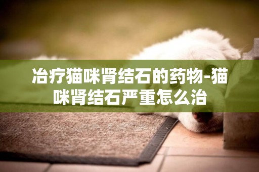冶療貓咪腎結石的藥物-貓咪腎結石嚴重怎么治