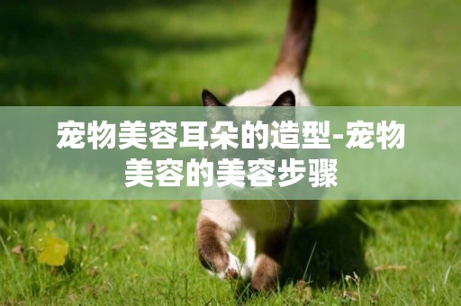 寵物美容耳朵的造型-寵物美容的美容步驟