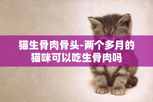 貓生骨肉骨頭-兩個多月的貓咪可以吃生骨肉嗎