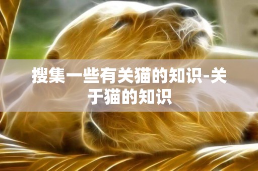 搜集一些有關貓的知識-關于貓的知識